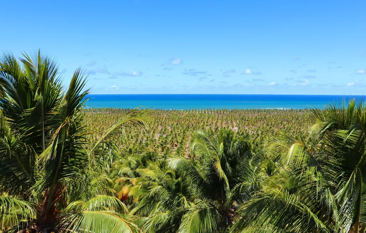 Imagem da galeria de Maceió